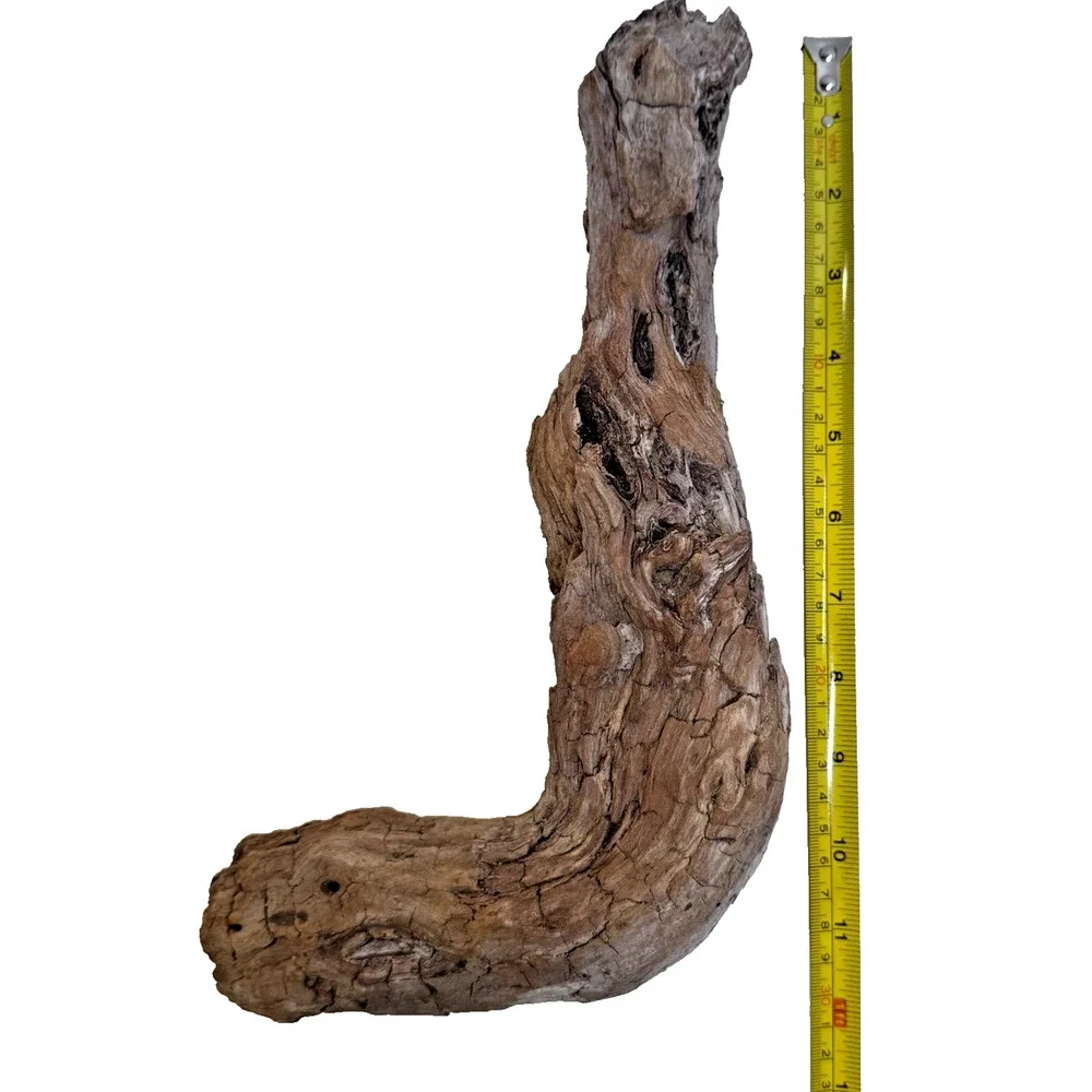 Set of 2 California Natural Driftwood Wavy Burlwood Terrarium Aquarium Craft